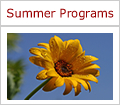 Summer Session