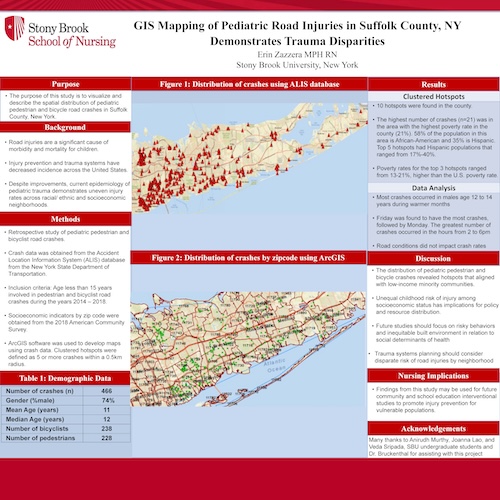 https://nursing.stonybrookmedicine.edu/sites/default/files/SmallNew%20Zazzera%20copy.jpg